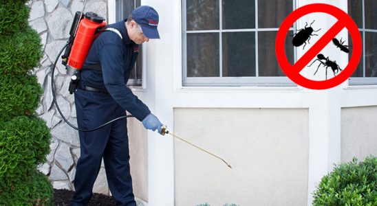 Doğanşar Akrep İlaçlama böcek ilaçlama ve haşere kontrolü — ilaclama-tr.com